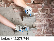 Construction and repair. a man with two trowels in his hands is plastering an old brick wall with a cement-sand mixture. Стоковое фото, фотограф Коханова Наталья / Фотобанк Лори