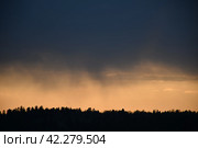 Дождь над лесом. Стоковое фото, фотограф Алексей Поликарпов / Фотобанк Лори
