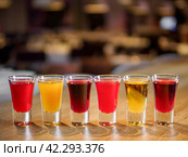 Different bitters and liqueurs. Стоковое фото, фотограф Ольга Сергеева / Фотобанк Лори