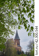 Кафедральный собор , Калининград (2023 год). Стоковое фото, фотограф Татьяна Сафронова / Фотобанк Лори