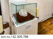 Посмертная маска Канта. Мемориальный знал. Экспонаты Музея Канта в Кафедральном соборе города Калининграда (2023 год). Редакционное фото, фотограф Румянцева Наталия / Фотобанк Лори
