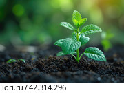 Environmental technology concept. Sustainable development goals. SDGs. Wide image for banner. Стоковое AI-изображение, AI-художник Ирина Михайличенко / Фотобанк Лори
