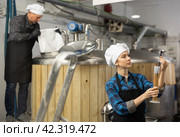 Woman brewer checks the amount of alcohol in beer using an alcoholmeter closeup. Стоковое фото, фотограф Яков Филимонов / Фотобанк Лори