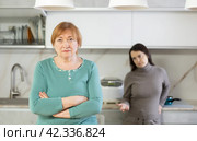 Adult woman and young woman during quarrel in kitchen. Стоковое фото, фотограф Яков Филимонов / Фотобанк Лори