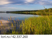 Красивый летний пейзаж. Вид с берега озера. Красная лодка вдалеке. Отдых на природе и рыбалка. Путешествие и отдых в сельской местности. Озеро Орлинское, Ленинградская область, Россия. Стоковое фото, фотограф Андрей Степанов / Фотобанк Лори