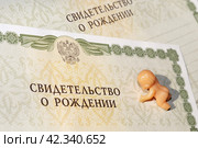 Два свидетельства о рождении и пупсик (2024 год). Редакционное фото, фотограф Евгения Золкина / Фотобанк Лори