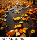 Осенние листья  | Autumn leaves. Стоковое AI-изображение, AI-художник Данил Рыбаков / Фотобанк Лори
