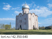Средневековая церковь Спаса на Нередице (1198г.) солнечным апрельским днем. Окрестности Великого Новгорода (2023 год). Стоковое фото, фотограф Виктор Карасев / Фотобанк Лори