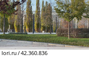 Парк Галицкого Краснодар (2024 год). Стоковое видео, видеограф Елена Букия / Фотобанк Лори