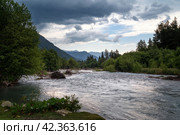 View of the Psysh riverbed in the northern foothills of the Caucasus Mountains near the village of Arkhyz on a sunny summer day, Karachay-Cherkessia, Russia. Стоковое фото, фотограф Ula Ulachka / Фотобанк Лори