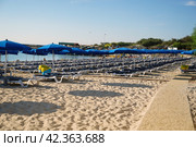 Ayia Napa/Cyprus - October 04, 2018: Makronissos Beach. Umbrella from the sun on an empty beach in the early morning. Стоковое фото, фотограф Валерий Леонидович / Фотобанк Лори