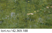 Южный Урал, карстовое озеро Голубой Грифон у реки Зилим. The Southern Urals, the Blue Griffin karst lake near the Zilim River. Стоковое видео, видеограф Евгений Романов / Фотобанк Лори