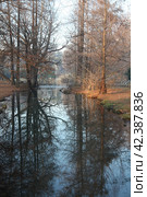 Италия. Милан. Парк Семпионе в Милане (Parco Sempione) (2019 год). Стоковое фото, фотограф Ерохин Дмитрий Викторович / Фотобанк Лори