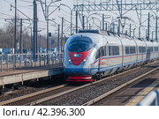Скоростной электропоезд ЭВС1 "Сапсан" прибывает на  станцию солнечным весенним  днем. Октябрьская железная дорога (2024 год). Редакционное фото, фотограф Виктор Карасев / Фотобанк Лори