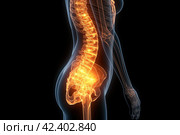 Hip joint pain, lumbar spine hernia, human body with osteoarthritis and scoliosis on a black background, health problems concept, AI Generated. Стоковое AI-изображение, AI-художник Станислав Тарко / Фотобанк Лори