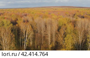 Южный Урал, Башкирия, осенний лес. Вид с воздуха. Southern Urals, Bashkiria, autumn forest. Aerial view. Стоковое видео, видеограф Евгений Романов / Фотобанк Лори