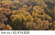 Южный Урал, Башкирия, осенний лес. Вид с воздуха. Southern Urals, Bashkiria, autumn forest. Aerial view. Стоковое видео, видеограф Евгений Романов / Фотобанк Лори