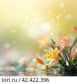 Lilies flowers on blure background. Стоковое AI-изображение, AI-художник Волошина Мария Ивановна / Фотобанк Лори