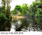 The boat in Amazon river in Peru, South America (2011 год). Стоковое фото, фотограф Сергей Стрелков / Фотобанк Лори
