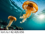 Jellyfish (Cubozoa) swimming in tropical underwaters bottom view. Medusa in underwater wild animal world. Observation of wildlife ocean. Scuba diving in Ecuador coast. Copy text space. Стоковое AI-изображение, AI-художник Aleksandr Golubev / Фотобанк Лори