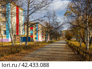 Село Клёпка, Ольский район, Магаданская область, Россия. Вид на улицу и красочные здания в небольшом посёлке. Осенний сезон. Опавшие листья на дороге. Путешествие в Сибирь и на Дальний Восток России. Стоковое фото, фотограф Андрей Степанов / Фотобанк Лори