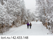 Женщины гуляют по заснеженному городскому парку. Много снега на земле и ветвях деревьях после снегопада. Холодная снежная погода. Редакционное фото, фотограф Андрей Степанов / Фотобанк Лори