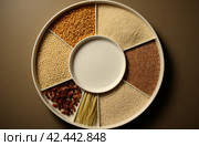 Diverse Grains plate. Generate Ai. Стоковое AI-изображение, AI-художник Иван Рябоконь / Фотобанк Лори