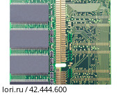 Компьютерные модули оперативной памяти на белом фоне. Computer RAM module on white background. Стоковое фото, фотограф Татьяна Д / Фотобанк Лори