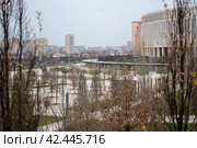 Парк Галицкого Краснодар (2024 год). Редакционное фото, фотограф Елена Букия / Фотобанк Лори