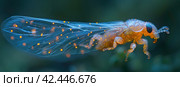 Mystical Firefly in the Night Sky. Стоковое AI-изображение, AI-художник Юрий Поздников / Фотобанк Лори