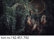 Dream catcher nature. Generate Ai. Стоковое AI-изображение, AI-художник Иван Рябоконь / Фотобанк Лори
