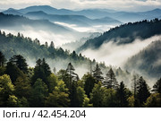 Smoky cloudy mountains trees valley. Generate AI. Стоковое AI-изображение, AI-художник Иван Рябоконь / Фотобанк Лори