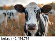 Cows in a dairy farm, close-up of a herd of cows,    Generative AI. Стоковое AI-изображение, AI-художник Анна Кривицкая / Фотобанк Лори