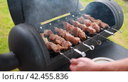 Shashliks are fried on the barbecue. Стоковое фото, фотограф Mikhail Davidovich / Фотобанк Лори