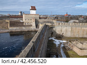 Замок Германа и стены Ивангородской крепости мартовским днем. Граница Эстонии и России (2024 год). Стоковое фото, фотограф Виктор Карасев / Фотобанк Лори