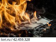 Burning money dollars fire. Generate AI. Стоковое AI-изображение, AI-художник Иван Рябоконь / Фотобанк Лори
