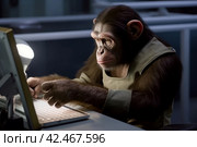 Chimpanzee laptop. Generate Ai. Стоковое AI-изображение, AI-художник Иван Рябоконь / Фотобанк Лори