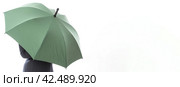 Back view of woman with green open umbrella banner. Generate ai. Стоковое AI-изображение, AI-художник Иван Рябоконь / Фотобанк Лори