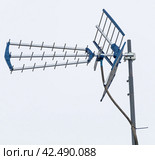 Телевизионная антенна на белом фоне. TV antenna isolated on white. Стоковое фото, фотограф Татьяна Д / Фотобанк Лори