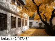 White wall wind chinese autumn house. Generate Ai. Стоковое AI-изображение, AI-художник Иван Рябоконь / Фотобанк Лори