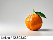 Picture of fresh ripe mandarin at isolated white background. Illustration of mandarine for design project, poster, banner, logotype. Fresh fruits concept. Copy ad text space. Generative Ai image. Стоковое AI-изображение, AI-художник Aleksandr Golubev / Фотобанк Лори