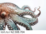 Octopus animal tentacles. Generate ai. Стоковое AI-изображение, AI-художник Иван Рябоконь / Фотобанк Лори