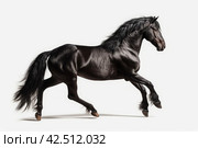 Prancing black horse on white background. Generate ai. Стоковое AI-изображение, AI-художник Иван Рябоконь / Фотобанк Лори