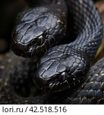 Two black snakes coiled upward, realistic photo.    Generative AI. Стоковое AI-изображение, AI-художник Анна Кривицкая / Фотобанк Лори