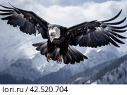 Picturesque Condor flying mountains. Generate Ai. Стоковое AI-изображение, AI-художник Иван Рябоконь / Фотобанк Лори