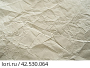 Paper wrinkle background. Texture of luxury white regular paper, capturing the subtle fibers and surface irregularities typical of standard paper. Closeup. Designs decoration, nature backdrop concept. Стоковое AI-изображение, AI-художник Марина Демидюк / Фотобанк Лори