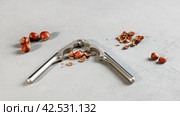 Pliers for splitting nut shells, whole and divided of hazelnuts, on gray surface. Стоковое фото, фотограф Vladimir Vikhrov / Фотобанк Лори