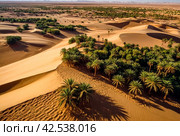 Aerial photography of sand dunes and trees in an oasis in Sahara desert. Bird's-eye view of hang glider on vast expanses of desert, near city of El Jam, Tunisia, Africa. Selective focus. Стоковое AI-изображение, AI-художник Aleksandr Golubev / Фотобанк Лори