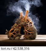Toxic Lungs after smoking. Generate Ai. Стоковое AI-изображение, AI-художник Иван Рябоконь / Фотобанк Лори