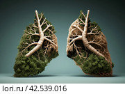 Inflamed Lungs after smoking. Generate Ai. Стоковое AI-изображение, AI-художник Иван Рябоконь / Фотобанк Лори